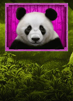Rakoocasino_panda